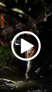 BIB:  <button type="button" onclick="openModal(27565111)" class="btn btn-primary btn-sm float-right" data-toggle="modal" data-target=".modal-high-quality">
                <i class="fa fa-download"></i> Download
                </button>